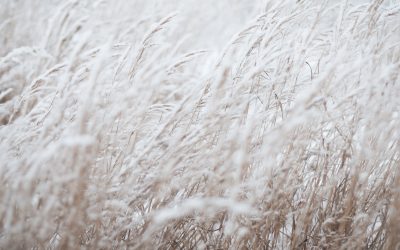 Kleur vs. lichtinval